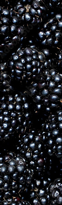 blackberries